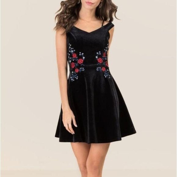 Francesca's Collections Dresses & Skirts - Francesca's Black Velvet Floral Embroidered Dress